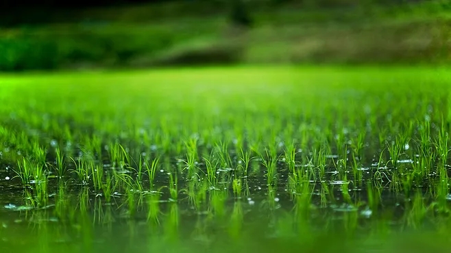 webp.webp (14) webp.webp (14)