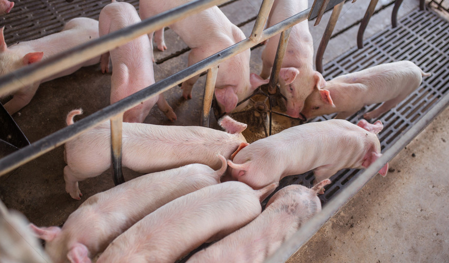 2914792_20210625220814215050_1 2914792_20210625220814215050_1