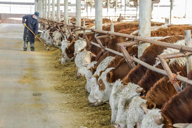 6d81800a19d8bc3eb489a24c3eaffd18a9d34559 6d81800a19d8bc3eb489a24c3eaffd18a9d34559