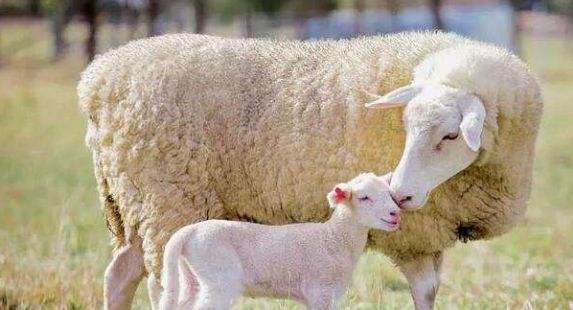 src=http___n.sinaimg.cn_sinakd20210809ac_83_w573h310_20210809_c4de-e56836f4d41bd35547a86fc7914fed23&refer=http___n.sinaimg.jpg src=http___n.sinaimg.cn_sinakd20210809ac_83_w573h310_20210809_c4de-e56836f4d41bd35547a86fc7914fed23&refer=http___n.sinaimg.jpg