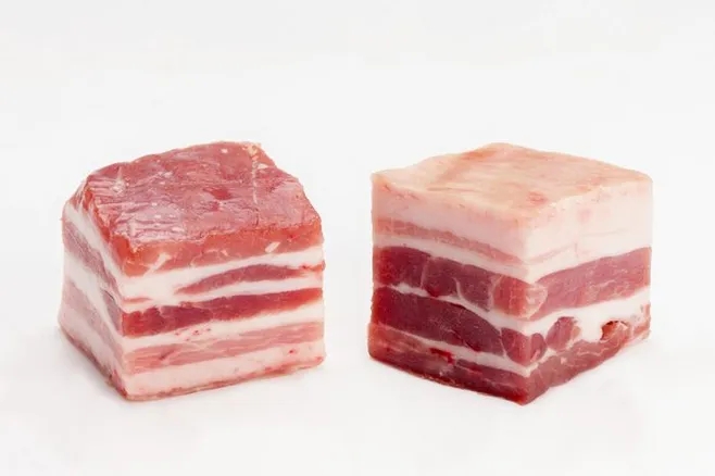 webp.webp (5) webp.webp (5)