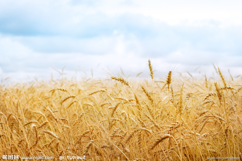 d570e8760d7b319d932ce7783eeccab0e7e6aa093adb4-LyhSUp_fw1200 d570e8760d7b319d932ce7783eeccab0e7e6aa093adb4-LyhSUp_fw1200