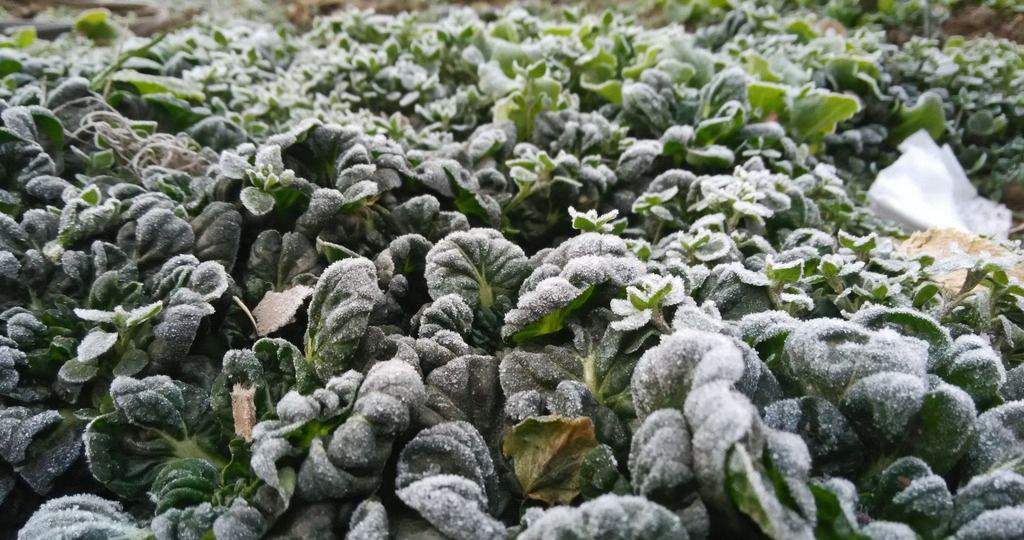 src=http___pic60.nipic.com_file_20150212_18200014_154642290975_2&refer=http___pic60.nipic.jpg src=http___pic60.nipic.com_file_20150212_18200014_154642290975_2&refer=http___pic60.nipic.jpg