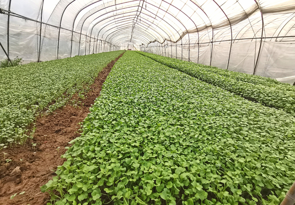 2898615_20210331164103876142_1 2898615_20210331164103876142_1