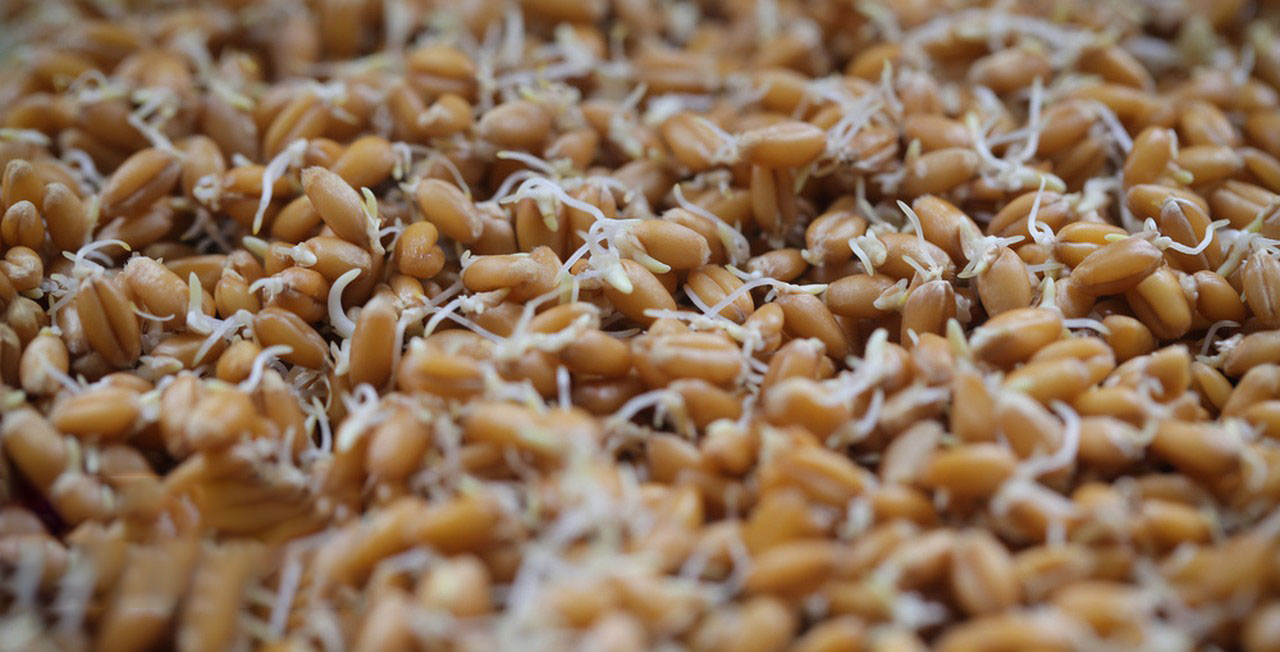 942265960227536897 942265960227536897