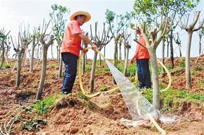 src=http___img.yybnet.net_upload_2017_0723_01_o4mrdgsw0jq&refer=http___img.yybnet.jpg src=http___img.yybnet.net_upload_2017_0723_01_o4mrdgsw0jq&refer=http___img.yybnet.jpg