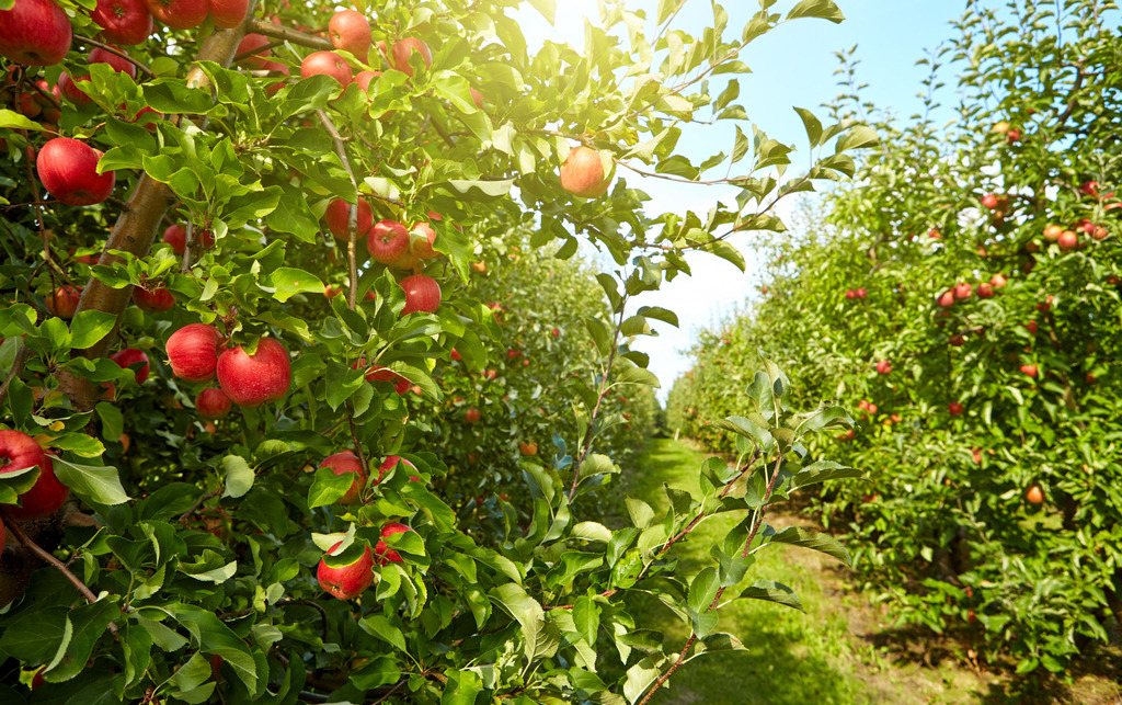 cff30a02b28c97c7498498afb5a8d7e495844fc4ed4a5-kL1sL5_fw1200 cff30a02b28c97c7498498afb5a8d7e495844fc4ed4a5-kL1sL5_fw1200