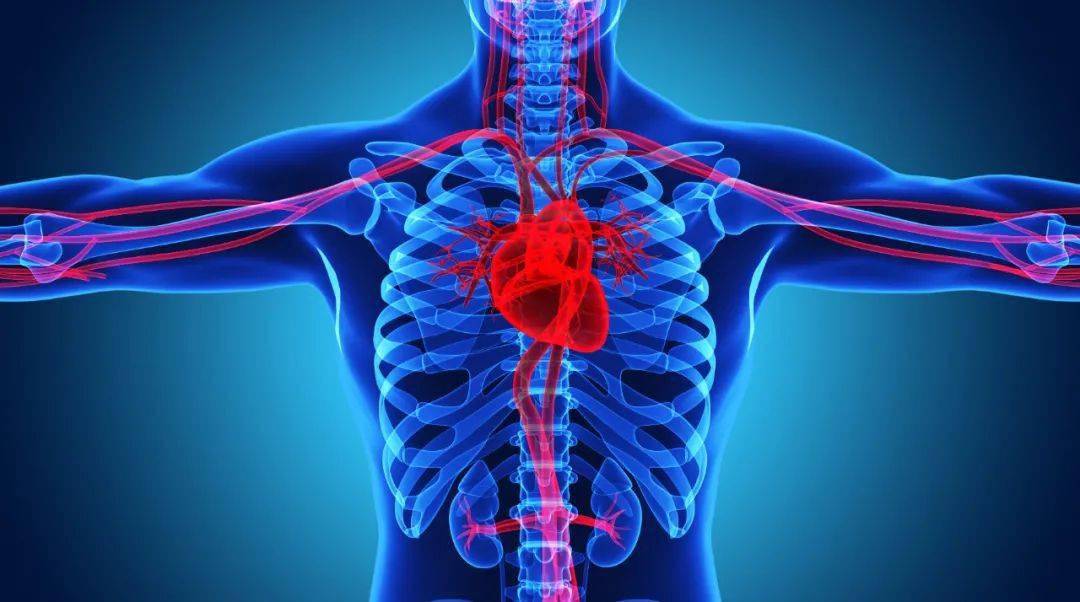 87c437d7bf0e42c99173a853b8ae2b5a 87c437d7bf0e42c99173a853b8ae2b5a