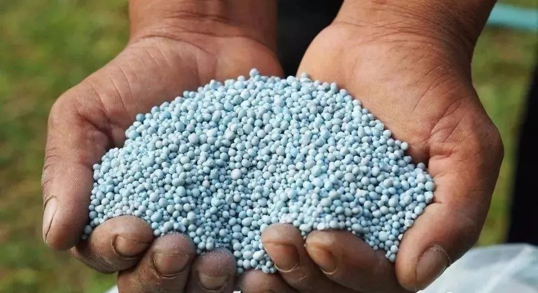 dda7310ed7e44006b820ddeb5f0a71e3 dda7310ed7e44006b820ddeb5f0a71e3