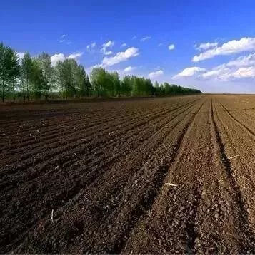 e3bddab6aa9a4c53bcbfe4e64237cc1f e3bddab6aa9a4c53bcbfe4e64237cc1f