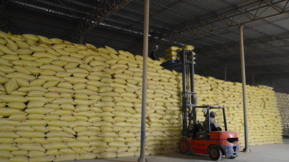 氯化膽堿：畜禽健康的守護(hù)者與生產(chǎn)效益的提升者