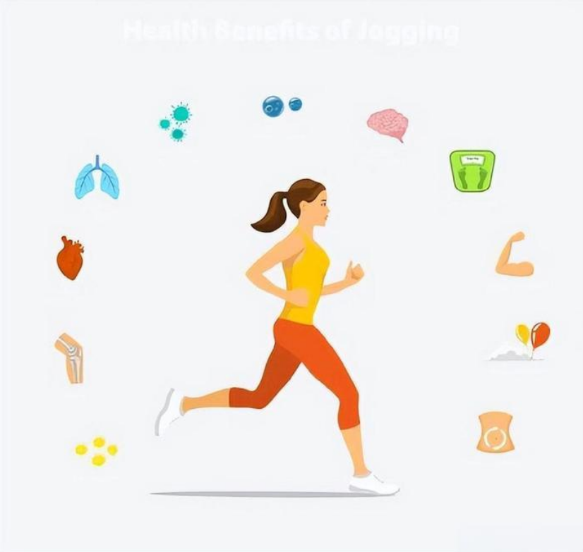 左旋肉堿：加速有害物質(zhì)代謝，提升運(yùn)動(dòng)表現(xiàn)的秘密武器