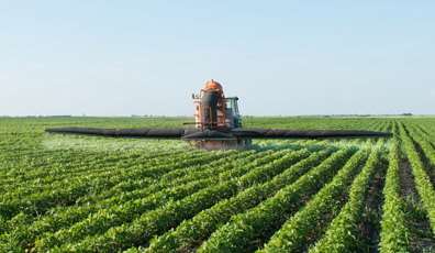 甘氨酸甜菜堿在農(nóng)業(yè)上的作用
