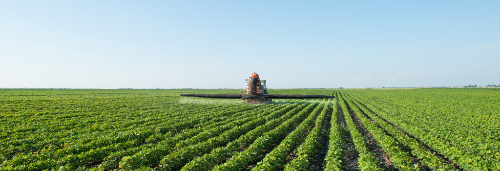 甜菜堿在農(nóng)業(yè)上作用