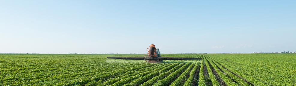 甜菜堿在植物抗逆性上的作用 甜菜堿在植物抗逆性上的作用