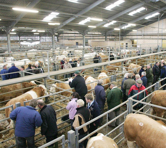 海爾希市場(chǎng)前景