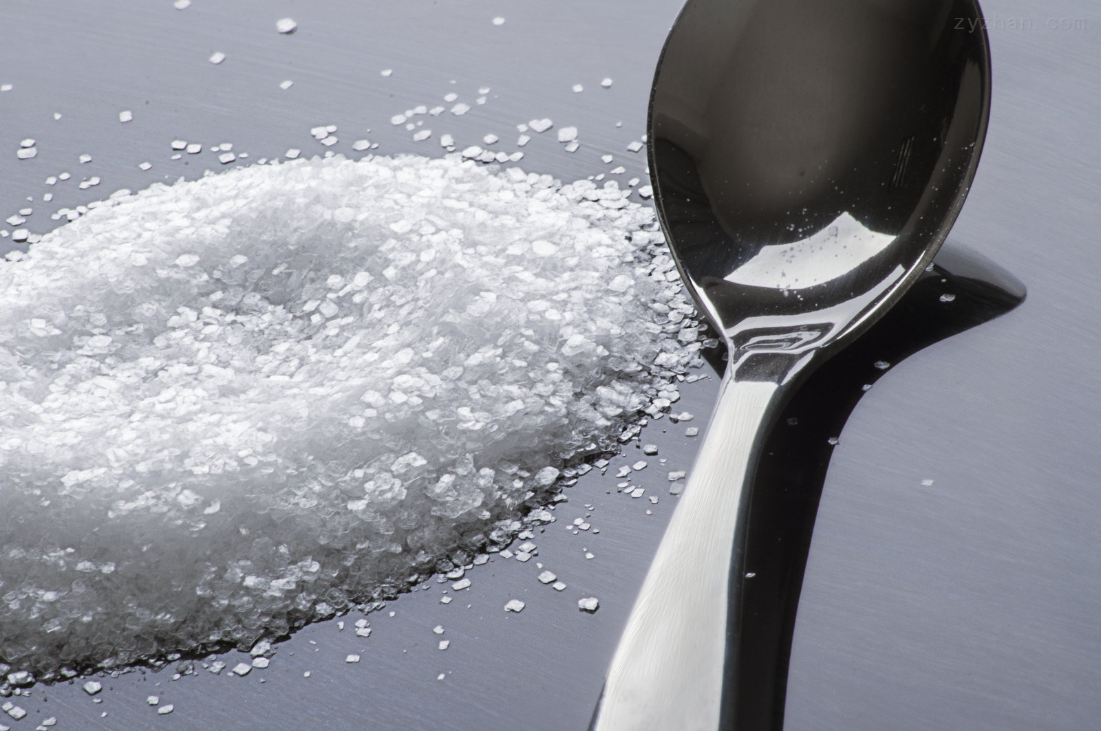 636788288406929954342 636788288406929954342